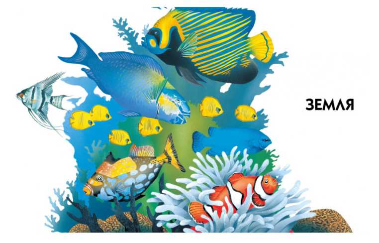 Обложка Новая детская энциклопедия, издательство Махаон | купить в книжном магазине Рослит