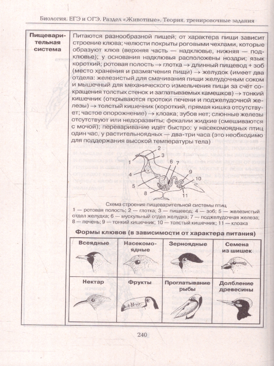 Обложка книги ЕГЭ и ОГЭ-2024. Биология 9-11 класс. Раздел Животные., Автор Кириленко А.А., издательство ЛЕГИОН | купить в книжном магазине Рослит