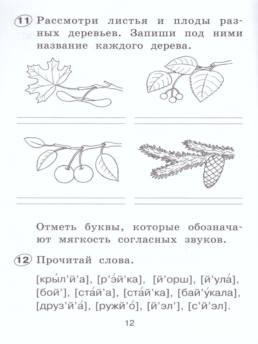 картинка Русский язык 1 класс. Рабочая тетрадь. ФГОС от магазина Рослит