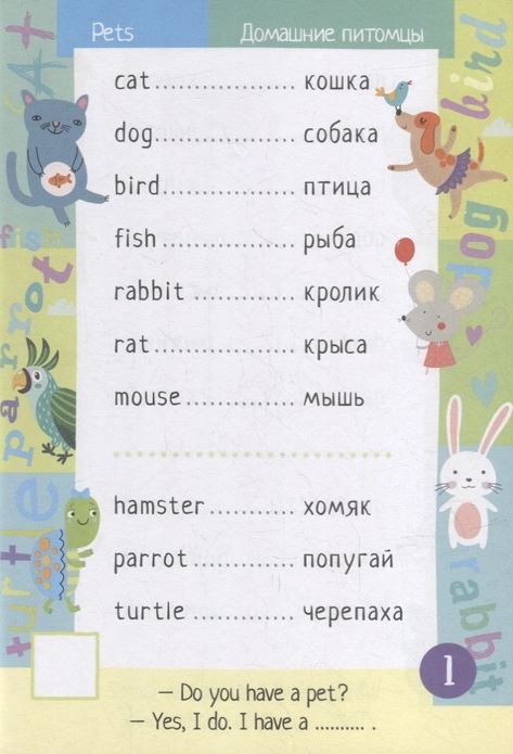 Обложка книги Тетрадь-тренажер для активного запоминания 500 английских слов с наклейками. Уровень 1. Beginner(Айр, Автор , издательство Айрис | купить в книжном магазине Рослит