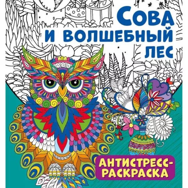 Обложка Антистресс-раскраска. Сова и волшебный лес, издательство НД Плей                                            | купить в книжном магазине Рослит