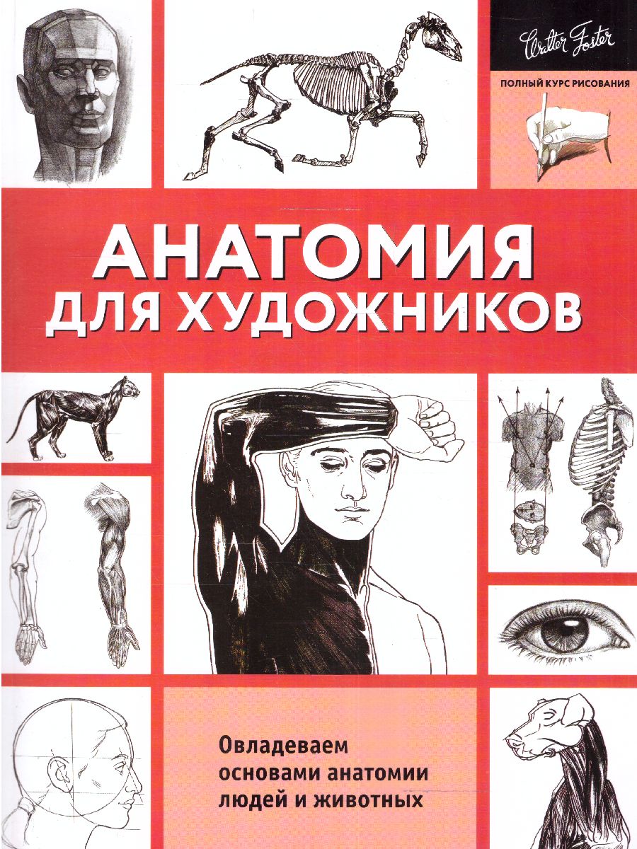 Обложка Анатомия для художников. Полный курс рисования, издательство АСТ | купить в книжном магазине Рослит