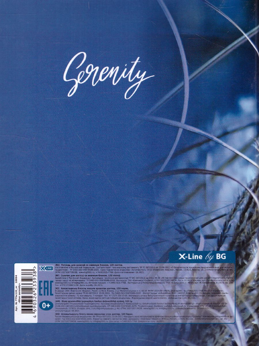 Обложка Тетрадь на кольцах 120 листов, А5, BG "Blue serenity", глянцевая ламинация от магазина Рослит