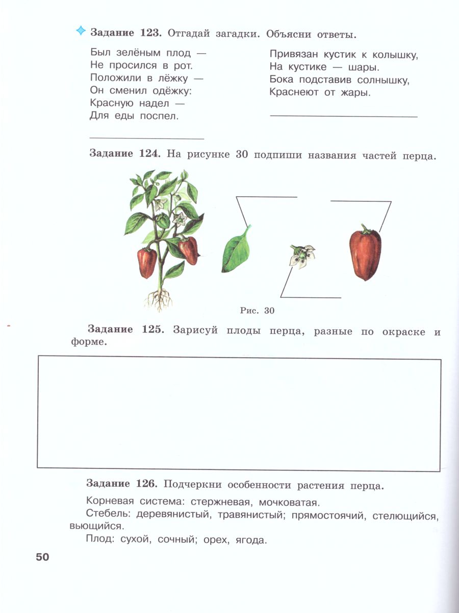 Обложка книги Биология 7 класс. Растения. Бактерии. Грибы. Рабочая тетрадь. Для специальных (коррекционных) образовательных учреждений VIII вида, Автор Клепинина З.А., издательство Просвещение | купить в книжном магазине Рослит