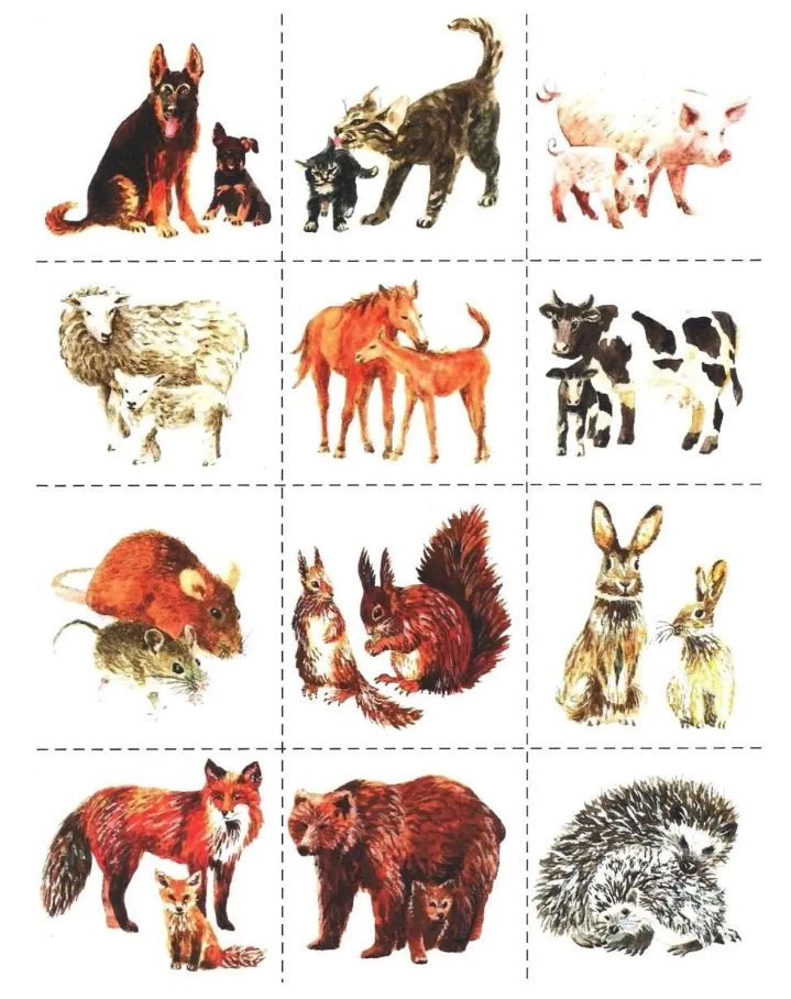 Обложка книги Развитие мыслительной деятельности у детей дошкольного возраста с ОВЗ (4-7 лет). Рабочая тетрадь № 3, Автор Спирева Е.Н., издательство Владос | купить в книжном магазине Рослит