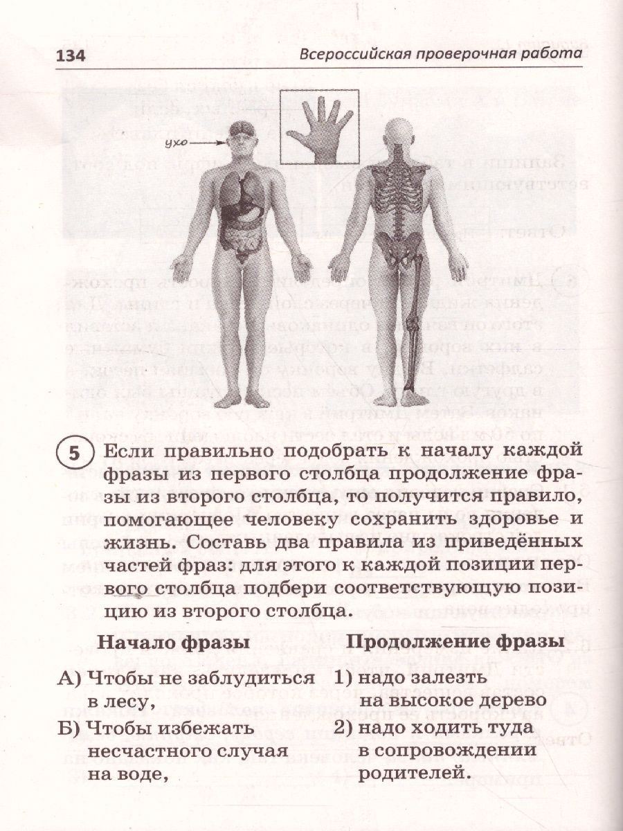 Обложка книги ВПР Окружающий мир 4 класс, Автор Александров А.И., издательство Афина | купить в книжном магазине Рослит