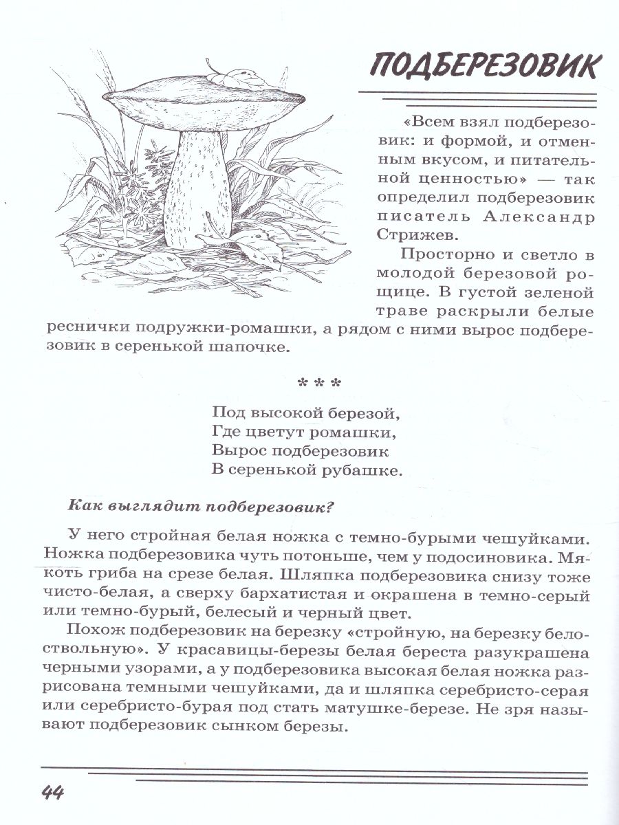 Обложка книги Грибы. Какие они? Знакомство с окружающим миром, развитие речи, Автор Шорыгина Т.А., издательство ГНОМ | купить в книжном магазине Рослит