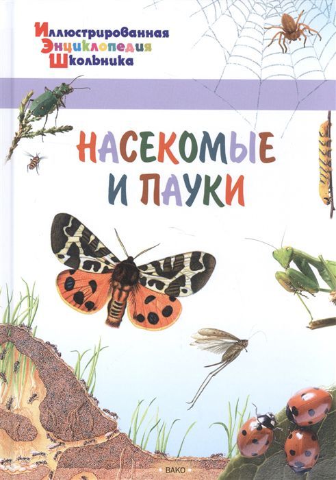 Обложка книги Насекомые и пауки. Иллюстированная энциклопедия школьника, Автор Орехов А.А., издательство Вако | купить в книжном магазине Рослит