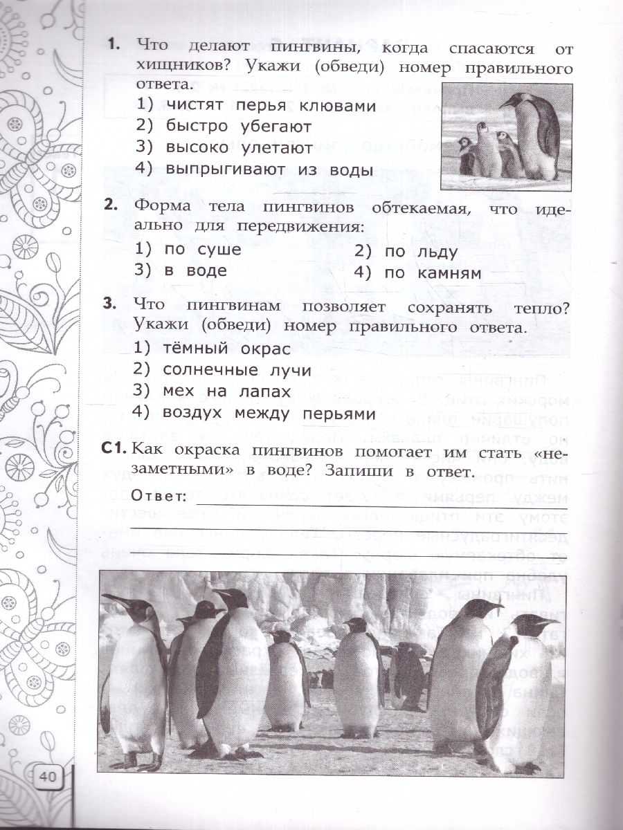 Обложка книги ВПР Читательская грамотность 3 класс. 10 вариантов ТЗ. ФГОС, Автор Трофимова Е. В., издательство Экзамен | купить в книжном магазине Рослит