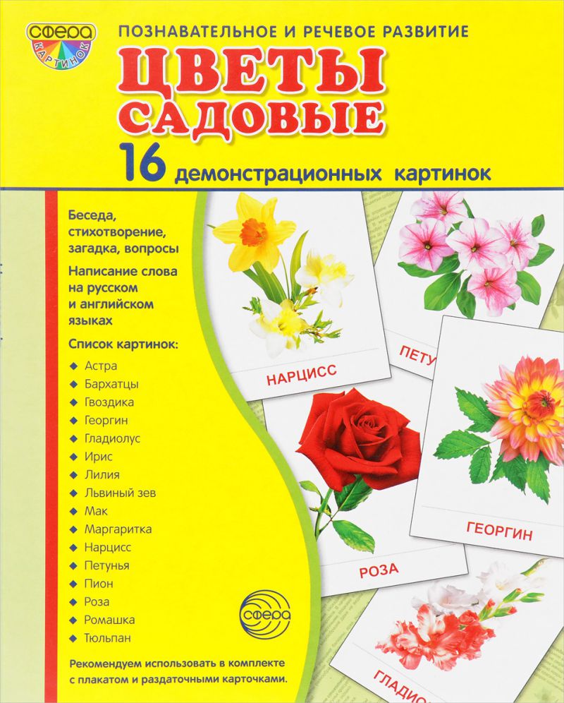 Обложка книги Демонстрационные картинки СУПЕР. Цветы садовые. 16 демонстрационных картинок с текстом 173х220 мм, Автор , издательство Сфера | купить в книжном магазине Рослит