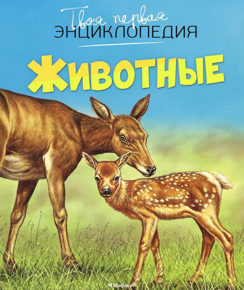 Обложка Животные, издательство Махаон | купить в книжном магазине Рослит