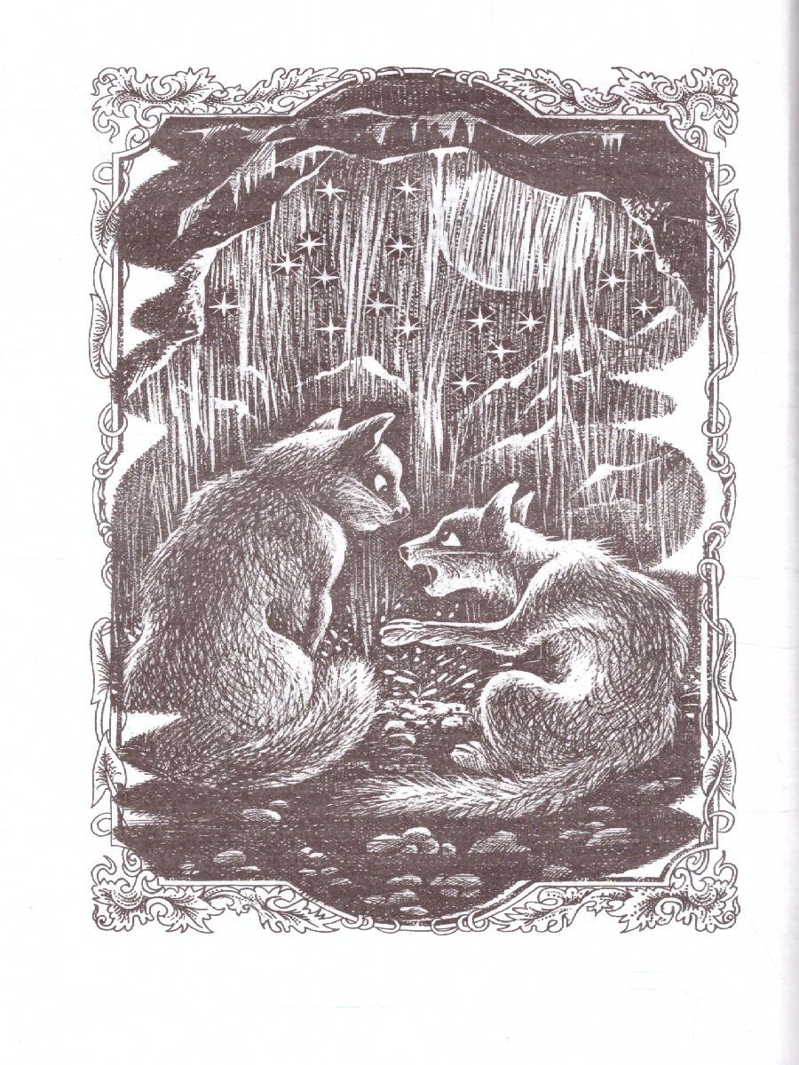 Обложка Коты-воители. Первая битва, издательство Просвещение/Союз                                   | купить в книжном магазине Рослит