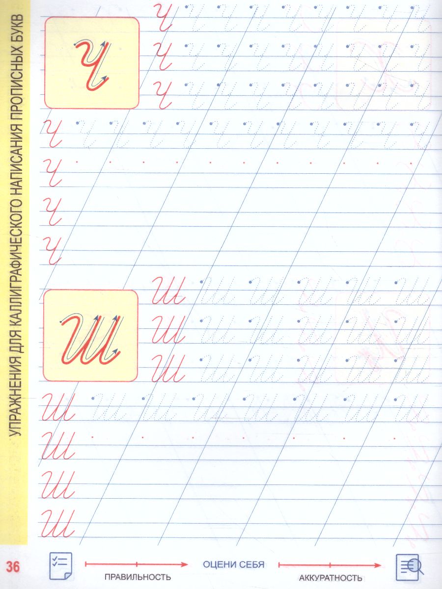 Обложка книги Русский язык 1 класс. Комплексный тренажер, Автор Барковская Н.Ф., издательство Кузьма                                             | купить в книжном магазине Рослит