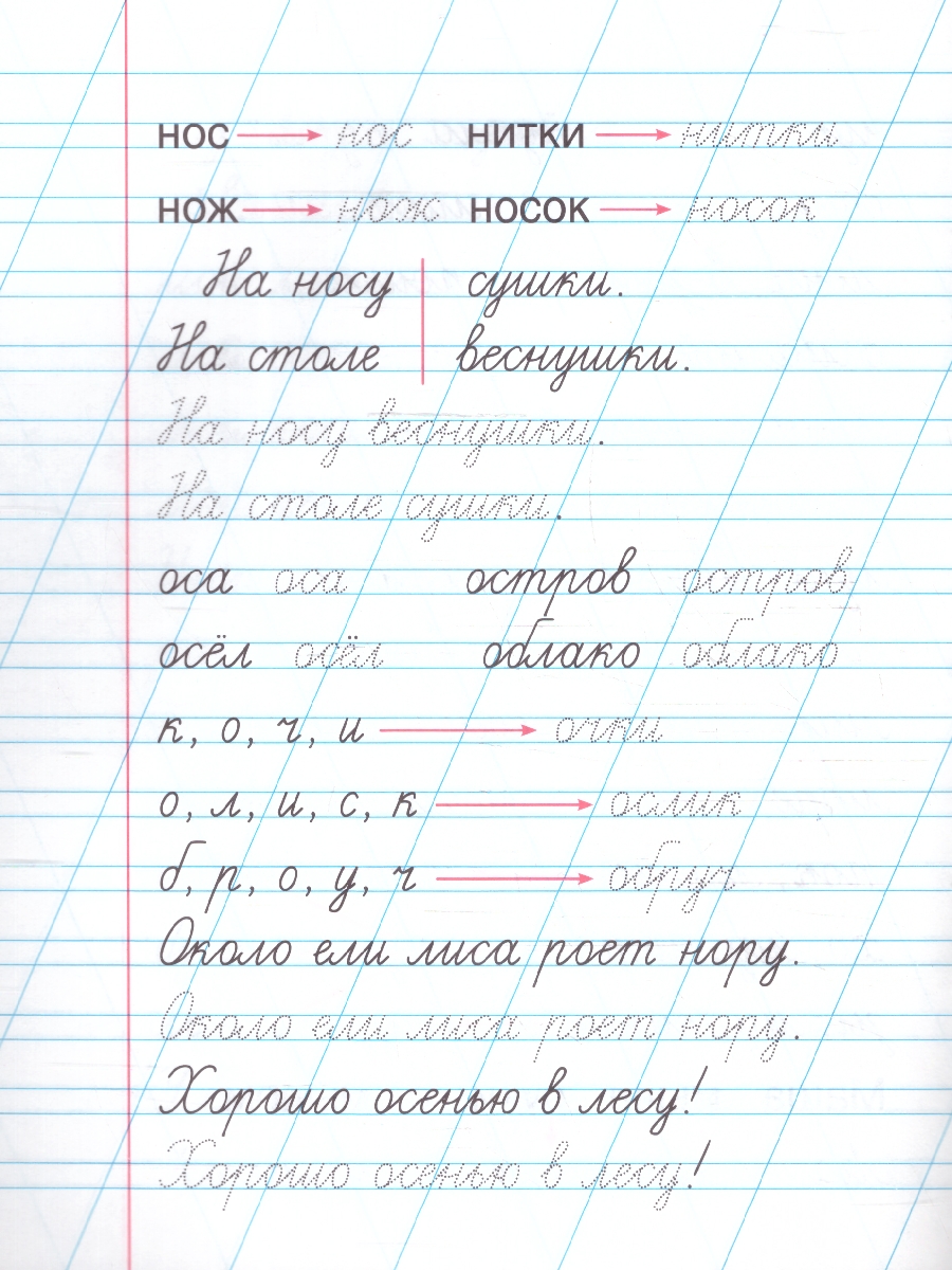 Обложка книги Прописи для дошкольников. Читам и пишем. ФГОС, Автор Жукова М. А., издательство Умка                                               | купить в книжном магазине Рослит