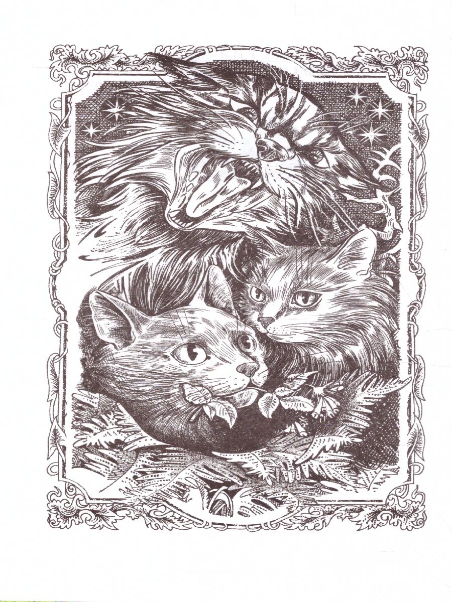 Обложка Сборник. Цикл "Нерассказанные истории". Ярость Когтя /Коты-воители, издательство Просвещение/Союз                                   | купить в книжном магазине Рослит