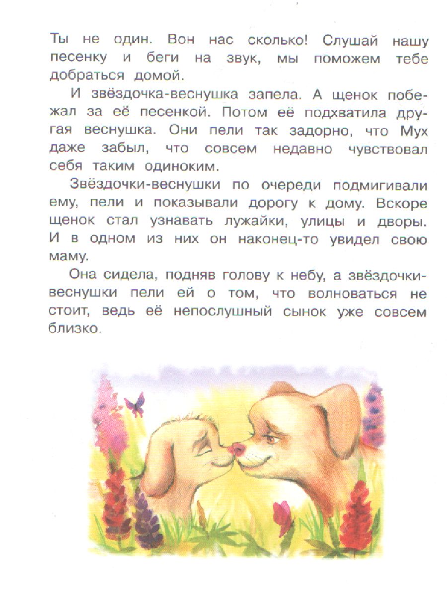 Обложка книги Добросовестная О.Г. Где живут веснушки? Сказки/Малышам обо всём хорошем (Вако), Автор Добросовестная О.Г., издательство Вако | купить в книжном магазине Рослит