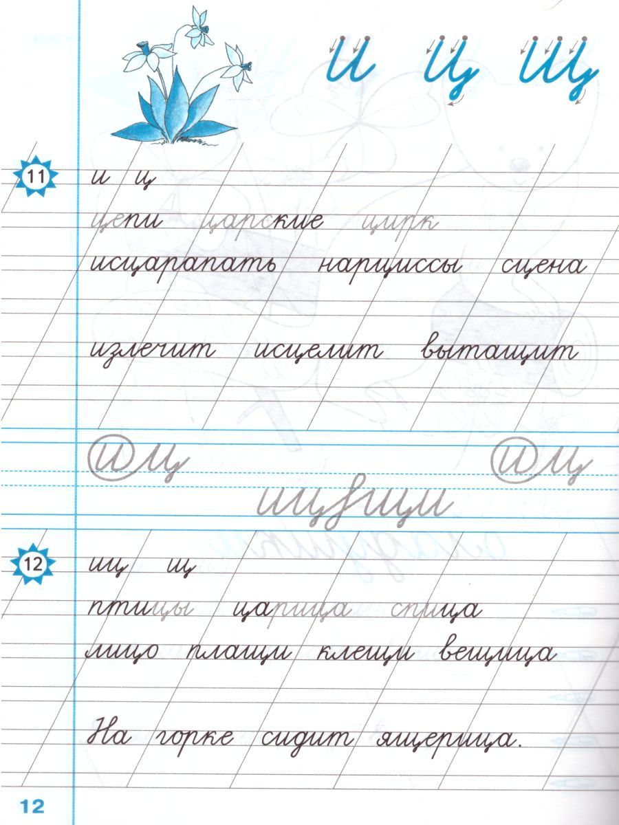 картинка Чистописание 1 класс Рабочая Тетрадь №1. ФГОС от магазина Рослит