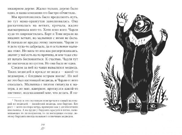 Обложка Мальчик из джунглей / Детский бестселлер Майкла Морпурго*, издательство Махаон | купить в книжном магазине Рослит