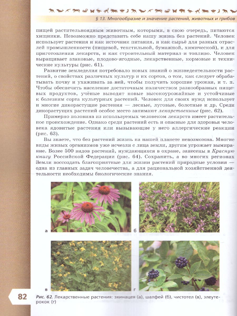 Обложка книги Биология 5 класс. Базовый уровень. Учебник. УМК "Линия жизни" (ФП2022), Автор Пасечник В.В. Суматохин С.В. Калинова Г.С., издательство Просвещение | купить в книжном магазине Рослит