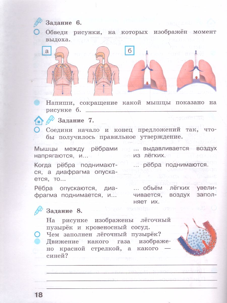 картинка Окружающий мир. 3 класс. Рабочая тетрадь в 2 частях. Часть 2 (Лидер-кейс) от магазина Рослит