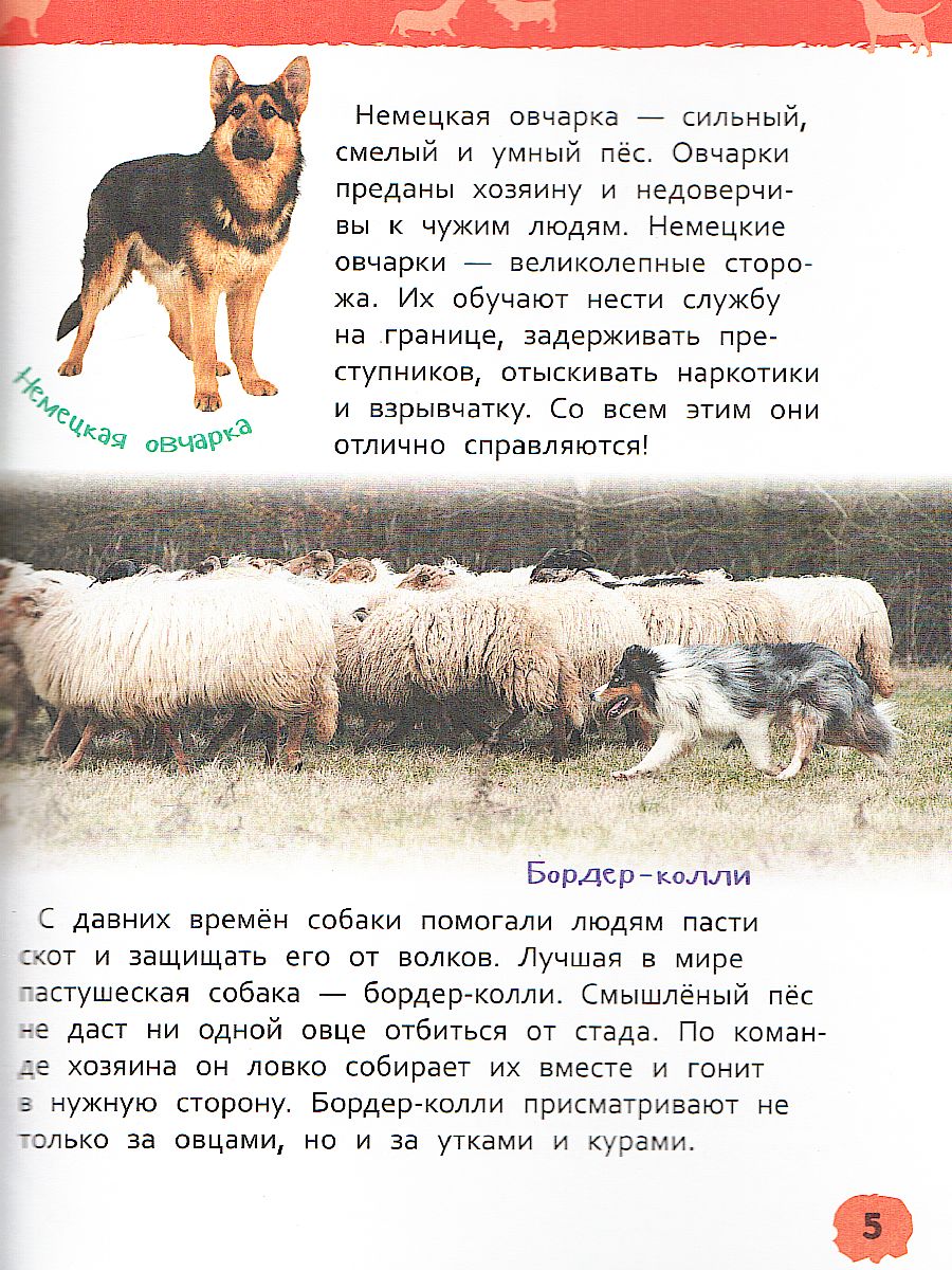 Обложка Домашние питомцы. Энциклопедия для детского сада, издательство РОСМЭН | купить в книжном магазине Рослит