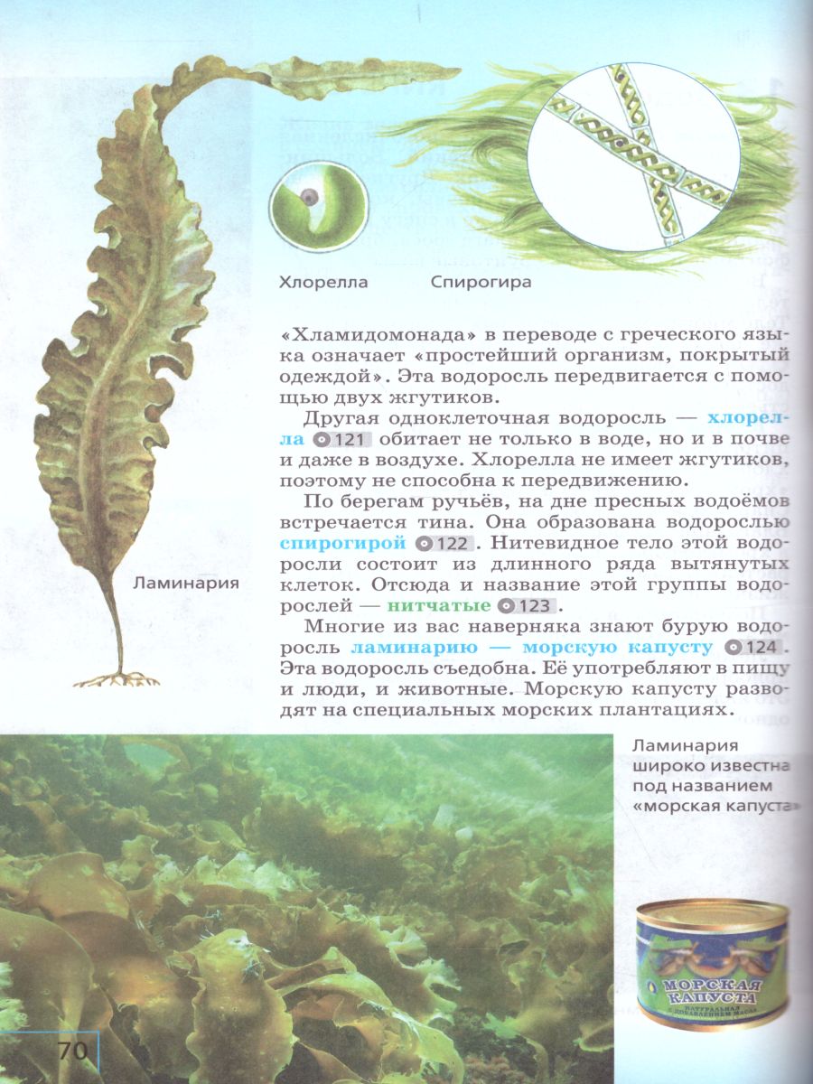 Обложка книги Биология 5 класс. Учебник. ФГОС, Автор Сивоглазов В.И. Плешаков А.А., издательство Дрофа | купить в книжном магазине Рослит