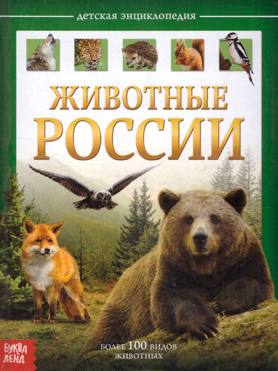Обложка Детская энциклопедия "Животные России", издательство Буква-Ленд                                         | купить в книжном магазине Рослит