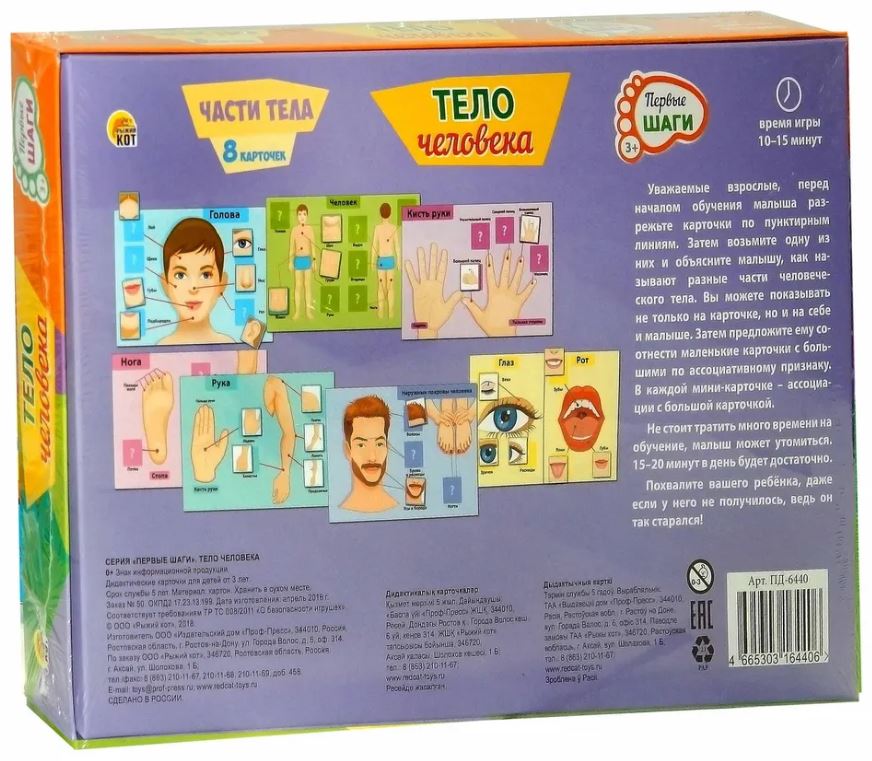 Обложка Первые шаги Тело человека, издательство Проф-пресс | купить в книжном магазине Рослит