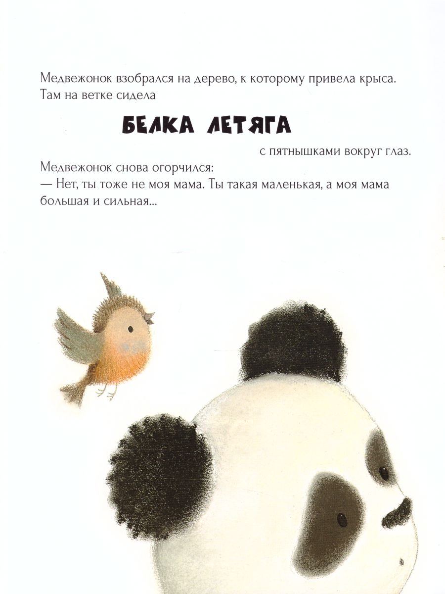 Обложка Малыш-панда потерялся, издательство АСТ-Пресс | купить в книжном магазине Рослит