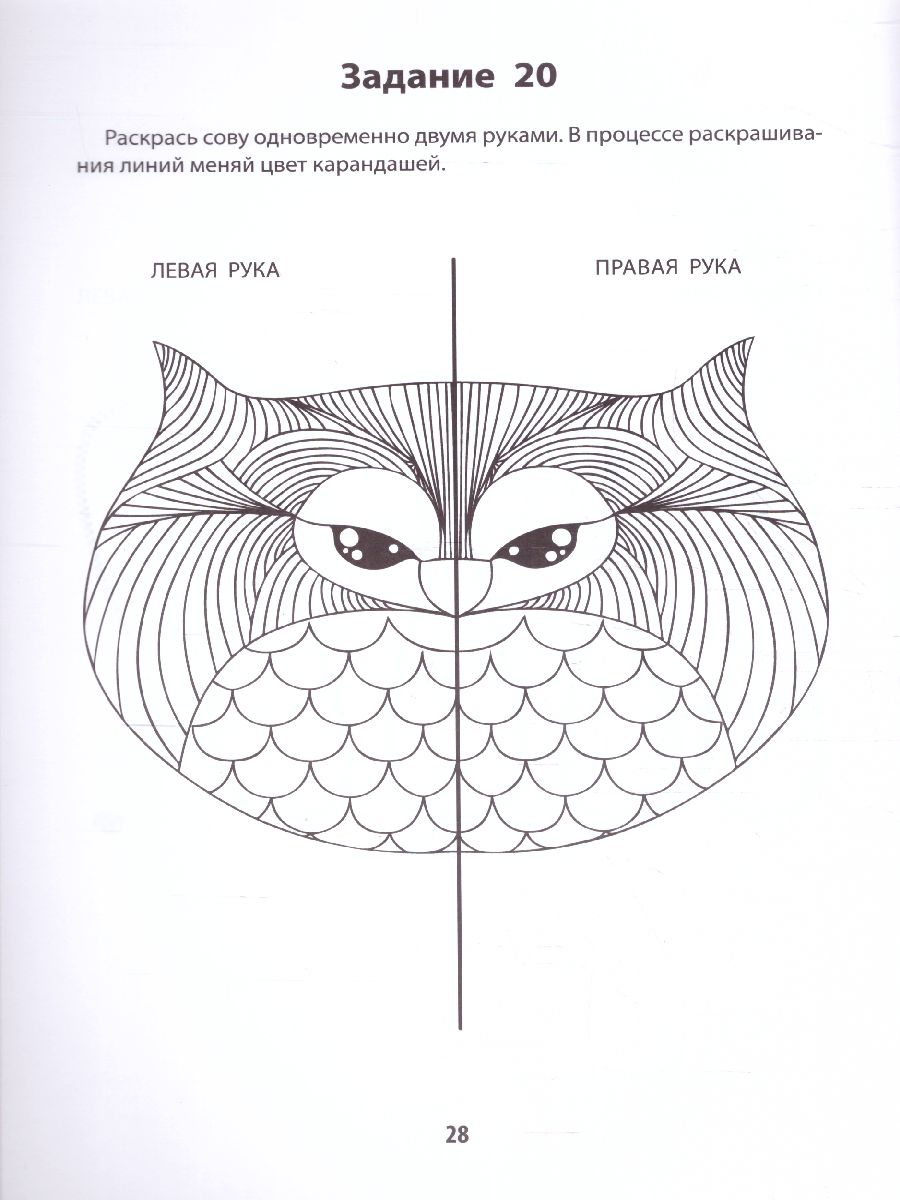 Обложка книги Развитие межполушар.взаимод.у детей:рисуем двумя руками:7+, Автор Трясорукова Т.П., издательство Феникс ТД                                          | купить в книжном магазине Рослит