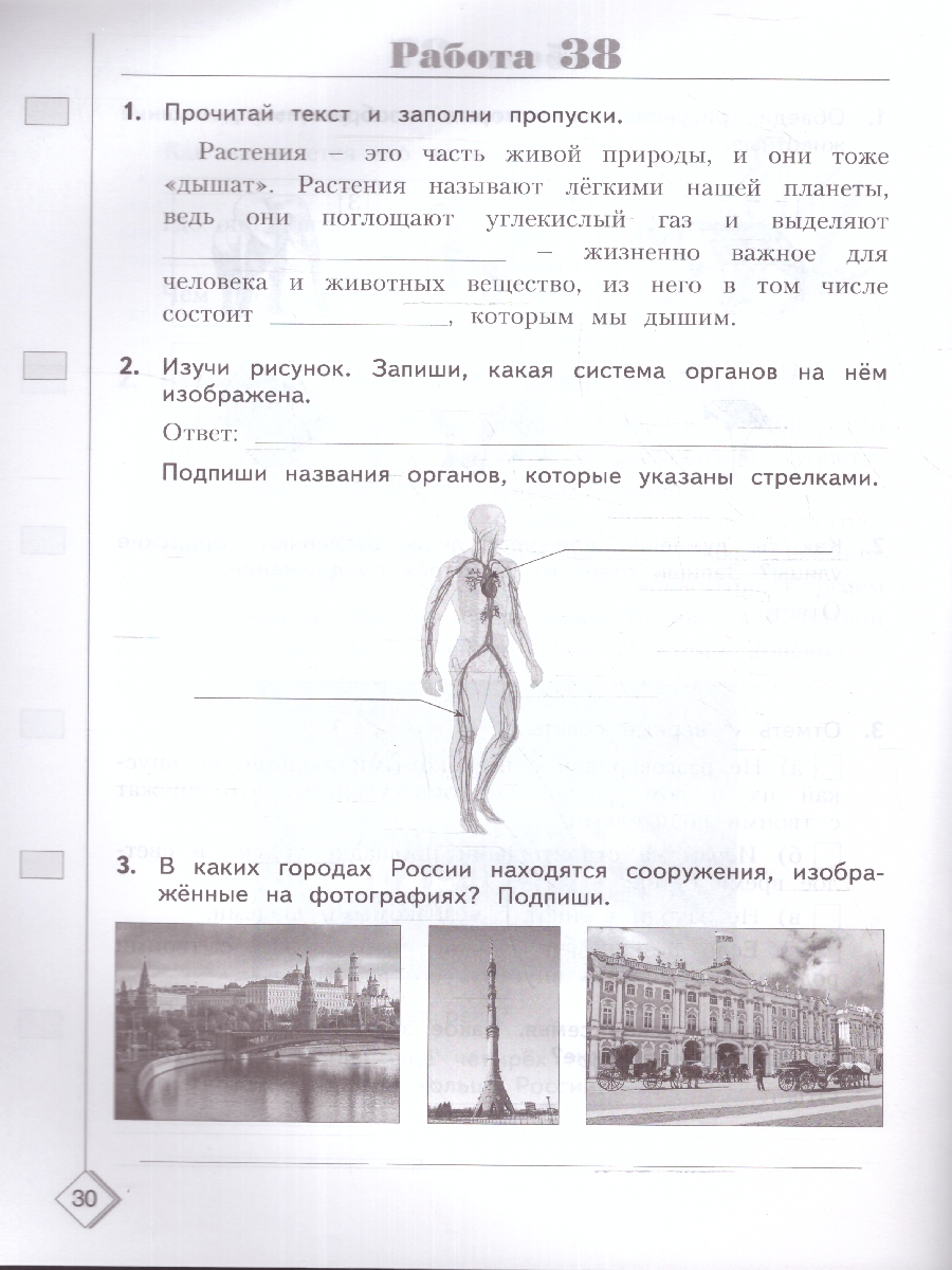Обложка книги Окружающий мир. 3 класс. Готовимся к ВПР. Новый ФП. ФГОС, Автор Иванова Н.А. Письменюк О.С., издательство Просвещение/Союз                                   | купить в книжном магазине Рослит