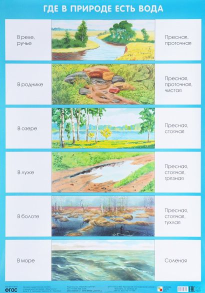 Обложка книги Плакат Где в природе есть вода. Экологичесое воспитание, Автор Николаева С.Н., издательство Мозаика-Синтез | купить в книжном магазине Рослит