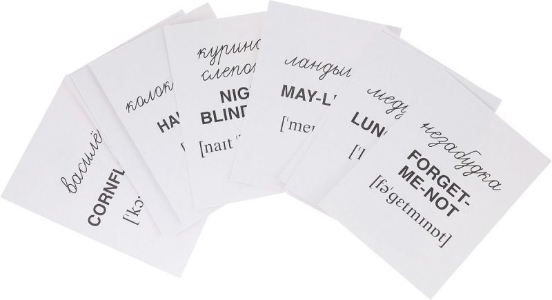 Обложка книги Демонстрационные картинки СУПЕР. Цветы полевые. 16 раздаточных картинок с текстом 63х87 мм, Автор , издательство Сфера | купить в книжном магазине Рослит