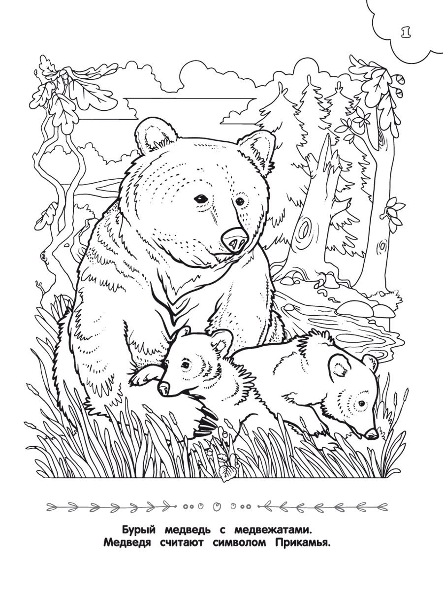 Обложка книги Самое достопримечательное. Природа Пермского края. Книжка-раскраска, Автор Клёпова Л.П., издательство Планета | купить в книжном магазине Рослит