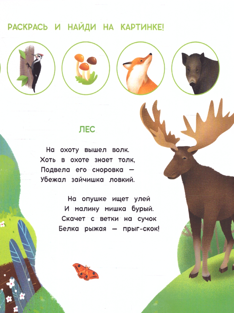 Обложка Многоразовая водная раскраска с заданиями. Животные. Серия: Раскрась и узнай , издательство ГЕОДОМ | купить в книжном магазине Рослит