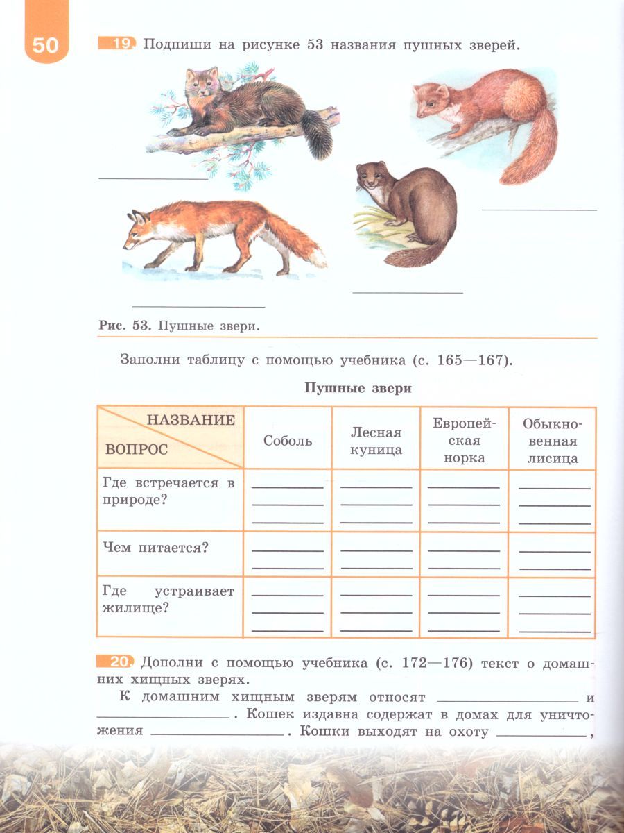 Обложка книги Биология 8 класс. Рабочая тетрадь. Для учащихся специальных (коррекционных) образовательных учреждений VIII вида, Автор Никишов А.И., издательство Просвещение | купить в книжном магазине Рослит