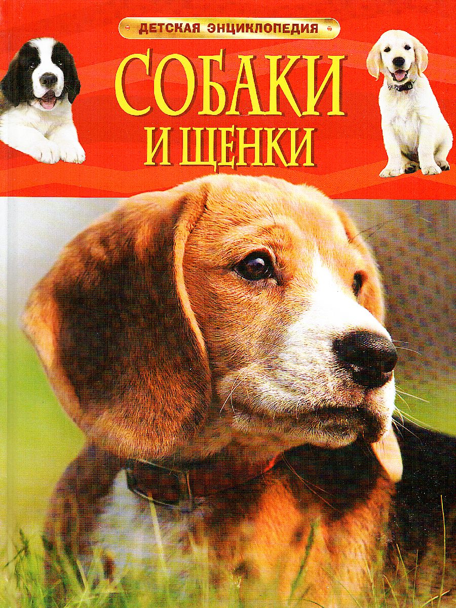 Обложка Собаки и щенки. Детская энциклопедия, издательство РОСМЭН | купить в книжном магазине Рослит