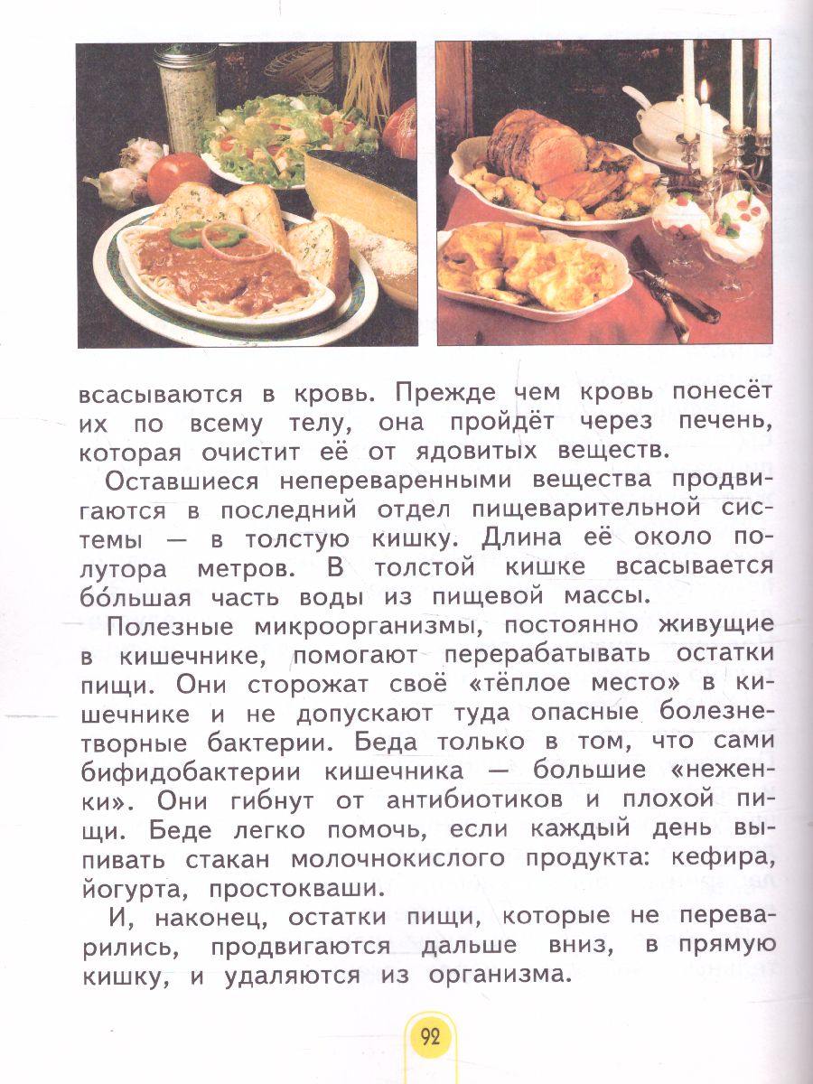 Обложка книги Дмитриева, Казаков Окружающий мир 4кл. ч.2. ФГОС (Бином), Автор Дмитриева Н.Я Казаков А.Н., издательство Просвещение/Союз                                   | купить в книжном магазине Рослит