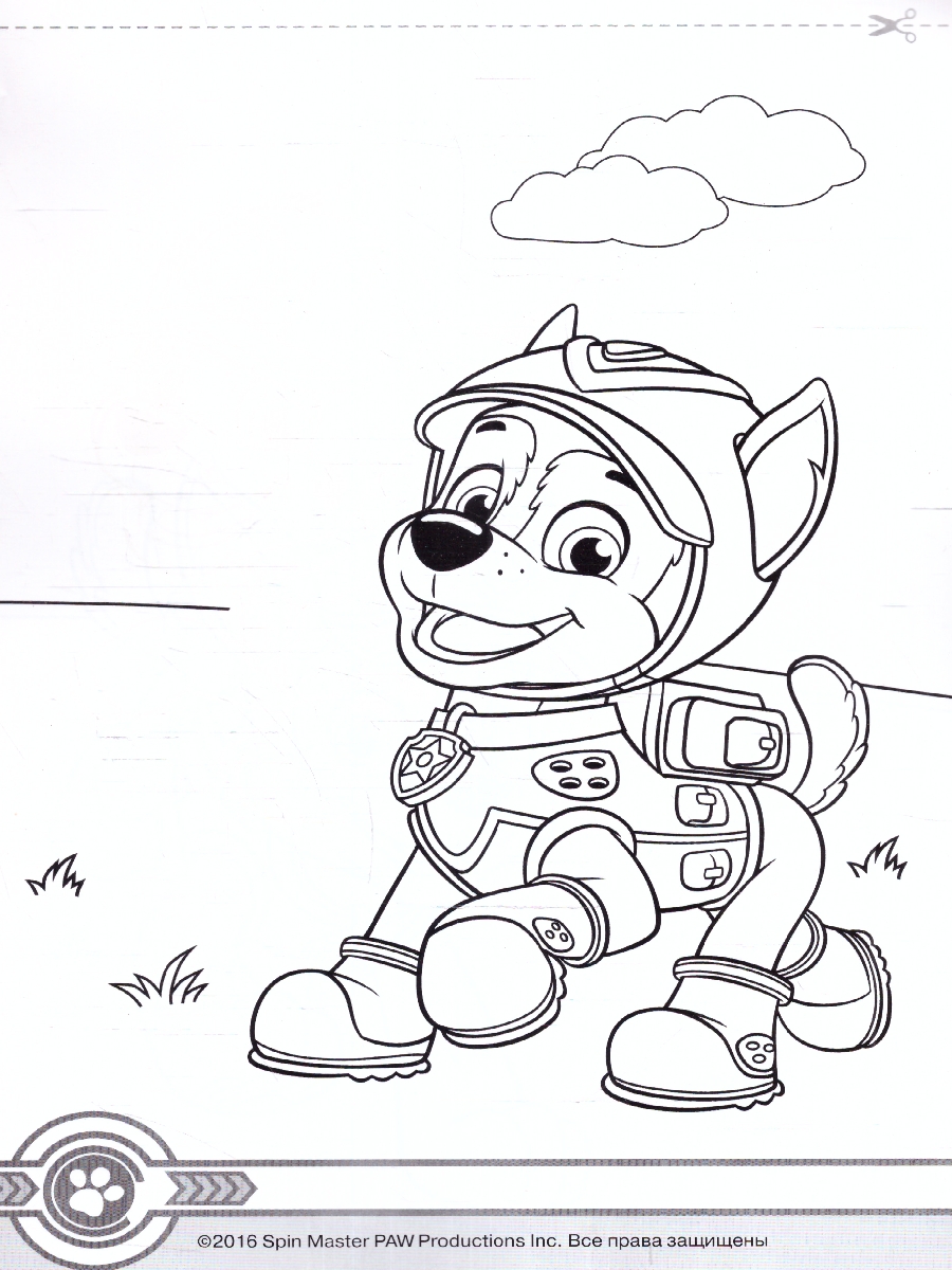 Обложка Щенячий патруль. Картинки-невидимки (синяя) (Росмэн), издательство РОСМЭН | купить в книжном магазине Рослит