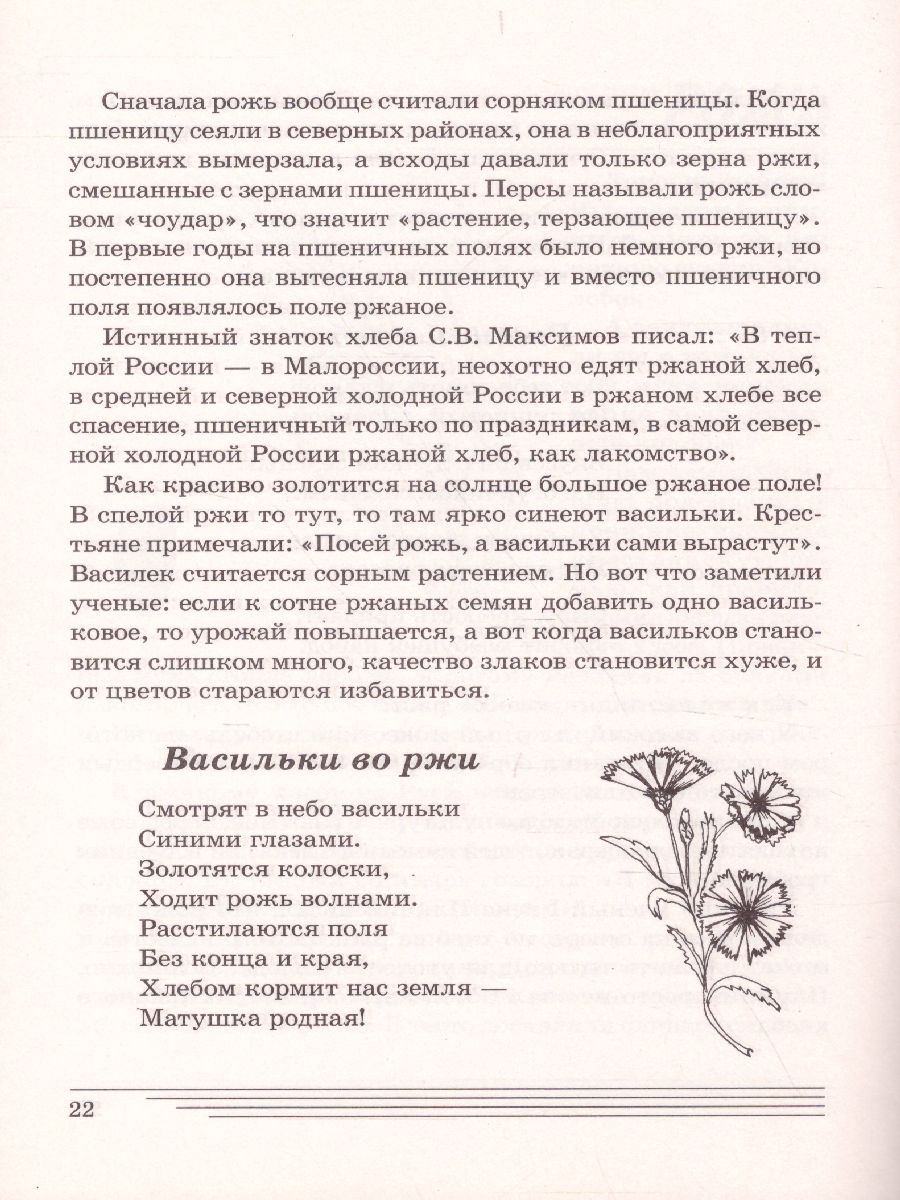 Обложка книги Злаки. Какие они? Знакомство с окружающим миром, развитие речи, Автор Шорыгина Т.А., издательство ГНОМ | купить в книжном магазине Рослит
