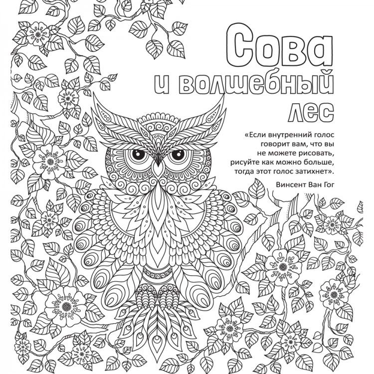 Обложка Антистресс-раскраска. Сова и волшебный лес, издательство НД Плей                                            | купить в книжном магазине Рослит