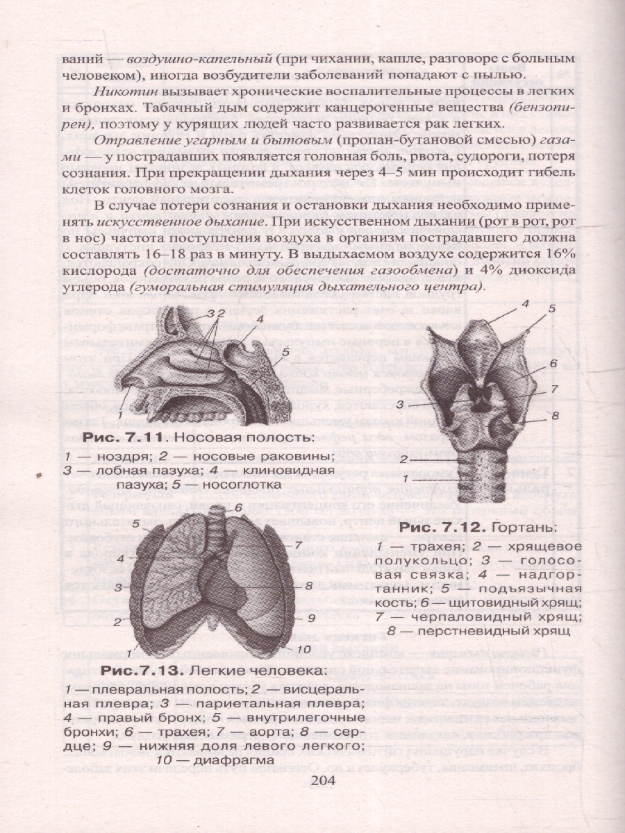 Обложка книги Биология в таблицах, схемах и рисунках, Автор Заяц Р. Г. Бутвиловский В. Э. Рачковская И. В., издательство Феникс ТД                                          | купить в книжном магазине Рослит