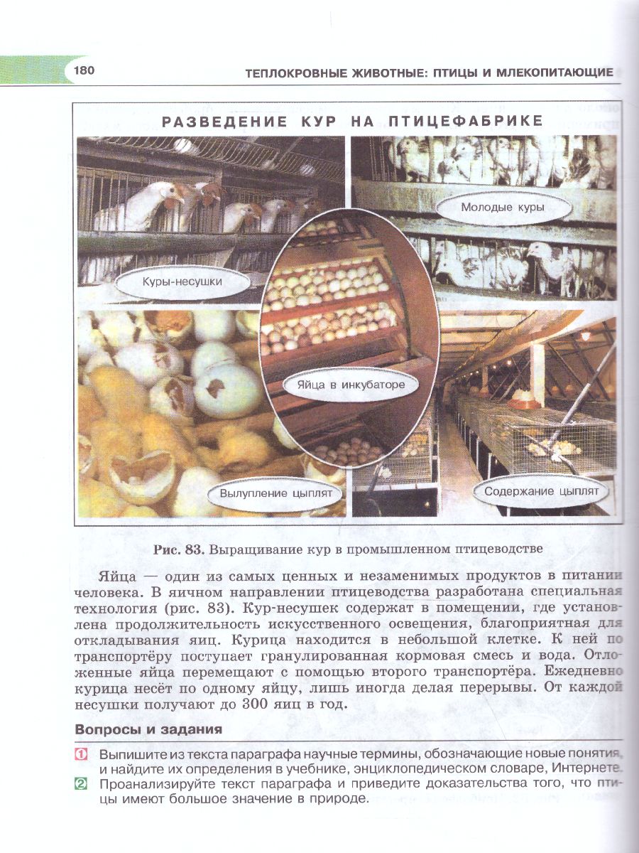 Обложка книги Биология 7 класс. Живые организмы. Животные. Учебник, Автор Трайтак Д.И. Суматохин С.В., издательство Мнемозина | купить в книжном магазине Рослит