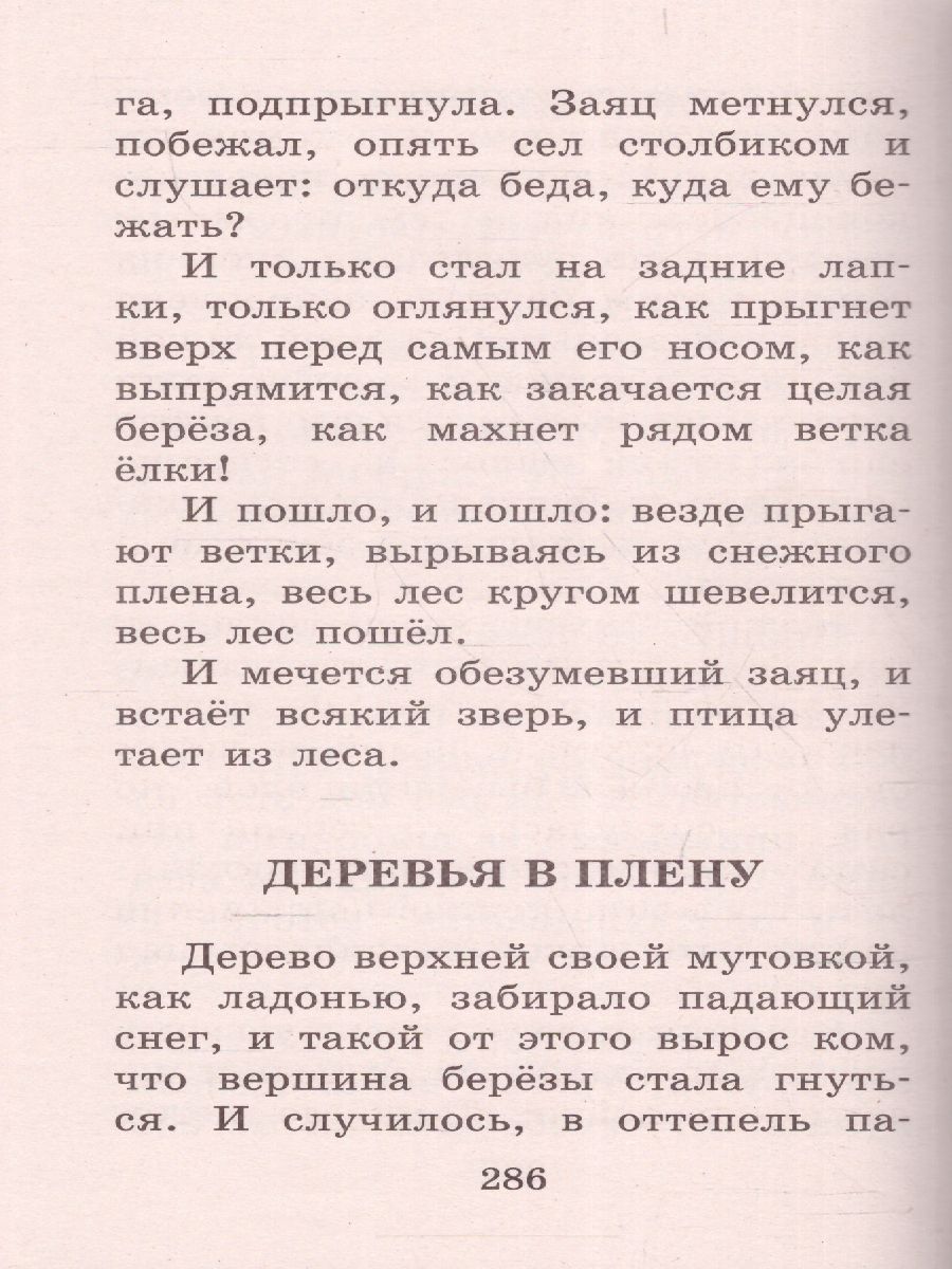 Обложка книги Кладовая солнца. Повесть и рассказы. Большая детская библиотека, Автор Пришвин М.М., издательство АСТ | купить в книжном магазине Рослит