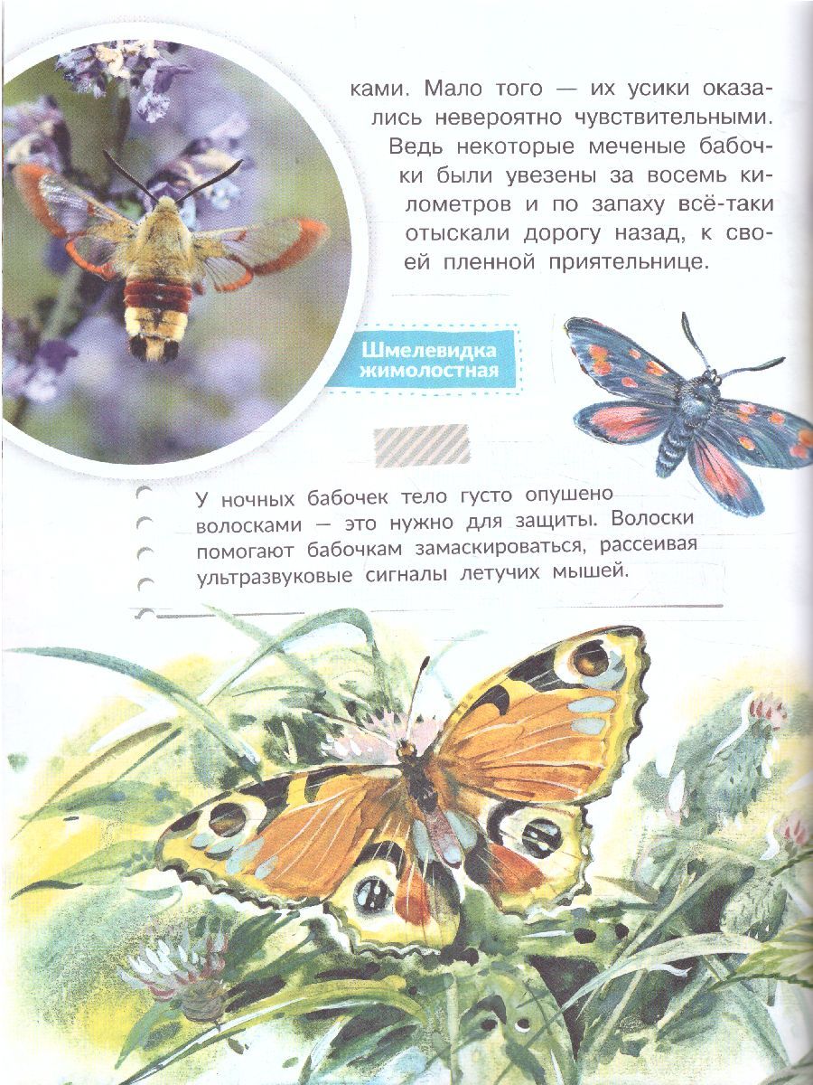 Обложка Для чего коту усы? /СамЛучшПочемучкиныКнижки, издательство АСТ | купить в книжном магазине Рослит