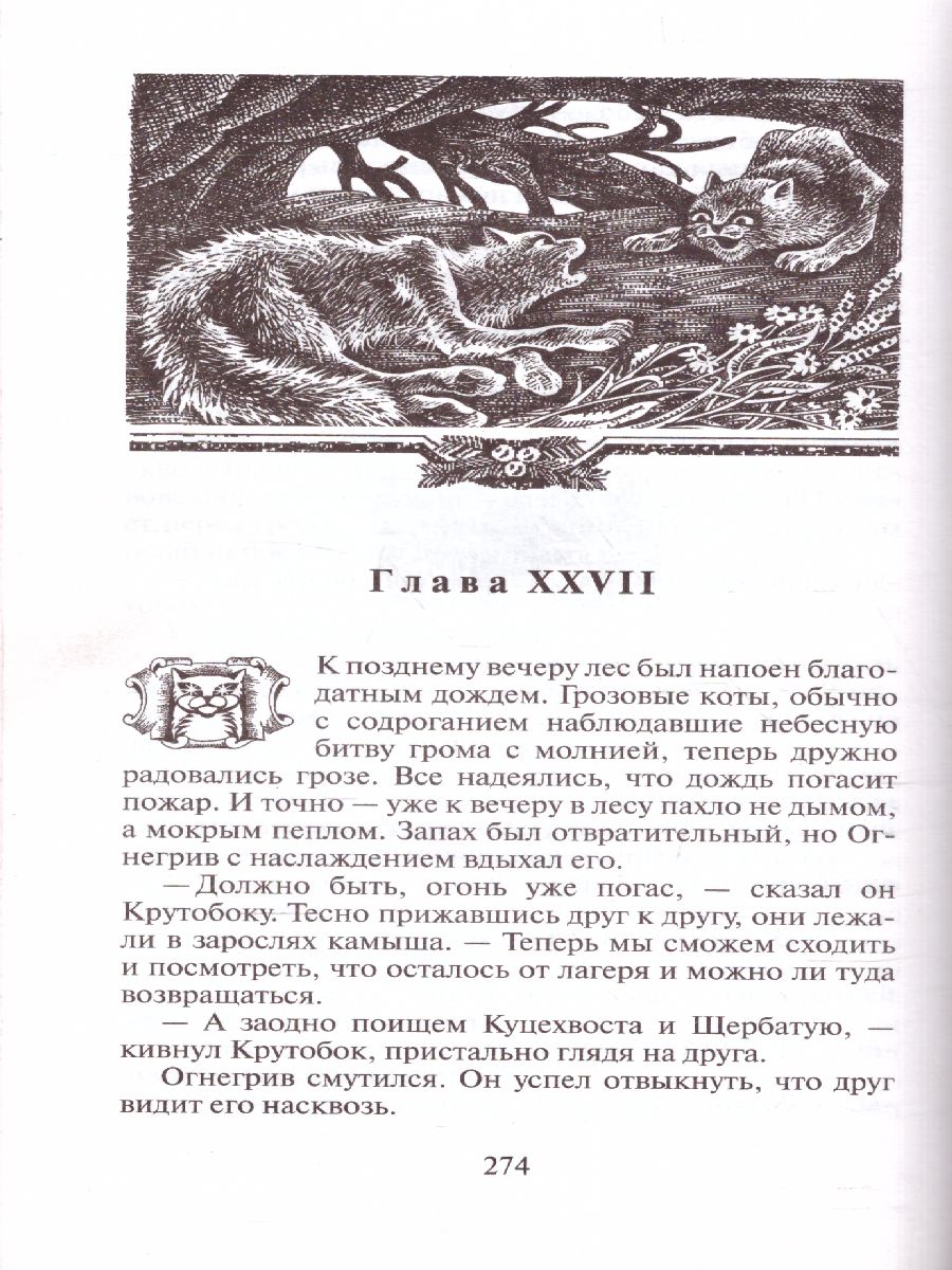 Обложка Коты-воители. Цикл "Воители". Бушующая стихия, издательство Просвещение/Союз                                   | купить в книжном магазине Рослит