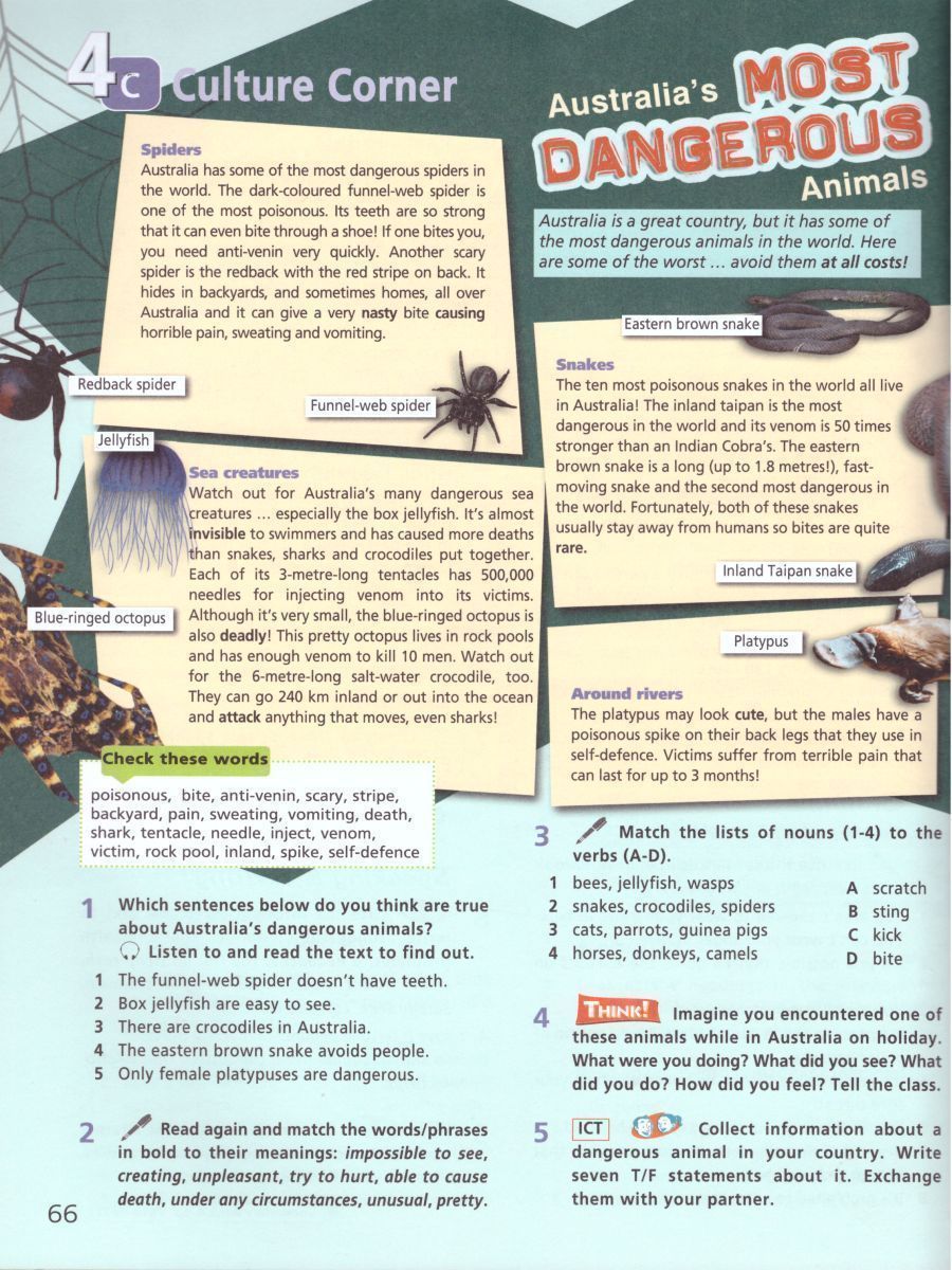 Обложка книги Английский язык 7 класс. Звездный английский Starlight. Учебник. ФГОС, Автор Баранова К.М. Дули Д. Копылова В.В., издательство Просвещение | купить в книжном магазине Рослит