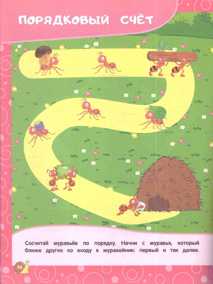 Обложка книги Учимся считать 4-5 лет. Дошкольное образование, Автор Горохова А. М.; Липина С. В., издательство ЭКСМО | купить в книжном магазине Рослит