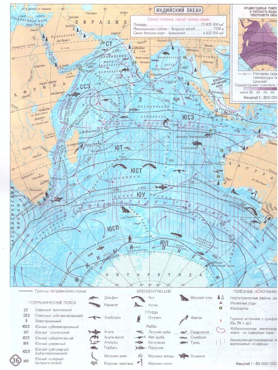 Обложка книги Атлас с комплектом контурных карт. География материков и океанов 7 класс. Новые границы, Автор Ред. Чугунова Н. Н., издательство КАРТОГРАФИЯ. ОМСК | купить в книжном магазине Рослит