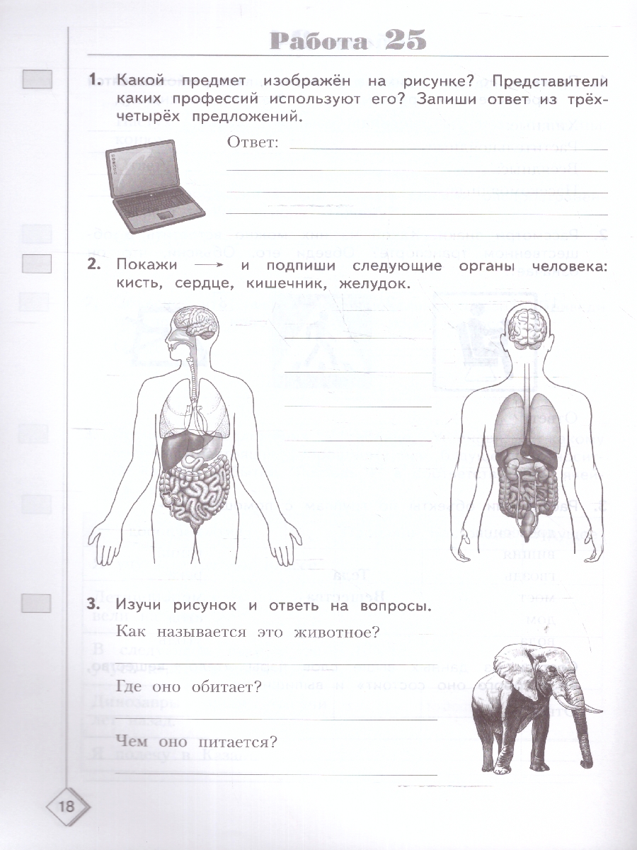 Обложка книги Окружающий мир. 3 класс. Готовимся к ВПР. Новый ФП. ФГОС, Автор Иванова Н.А. Письменюк О.С., издательство Просвещение/Союз                                   | купить в книжном магазине Рослит